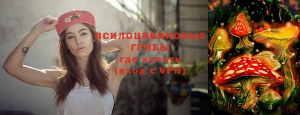 бутират Богородицк