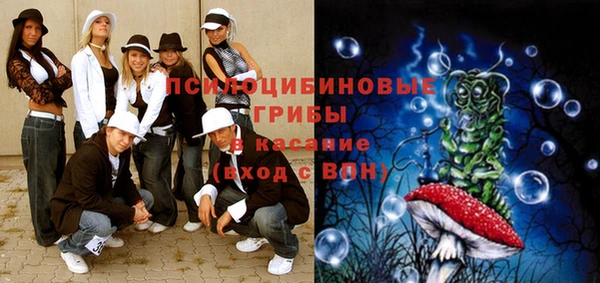 гидропоника Богородск