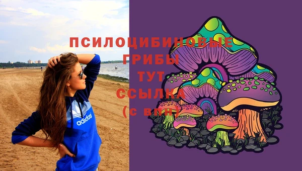 гидропоника Богородск