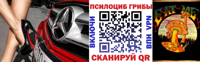 где купить наркоту  Верхоянск  Псилоцибиновые грибы прущие грибы 